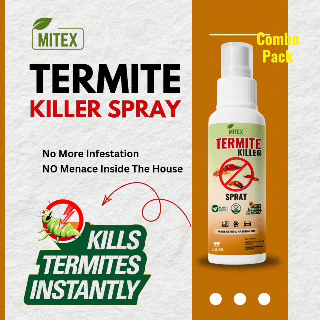 (BUY 1 GET 2 FREE) Bugnado® - Ultimate Anti-Termite Killer Spray - Image 3