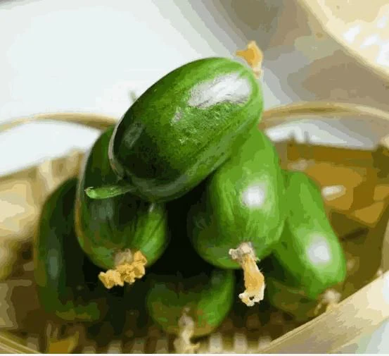 Premium Lady Cucumber Golden Boy Seeds (Pack of 100) - Image 2