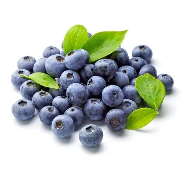Giant Blueberry Fruit Seeds - Image 2