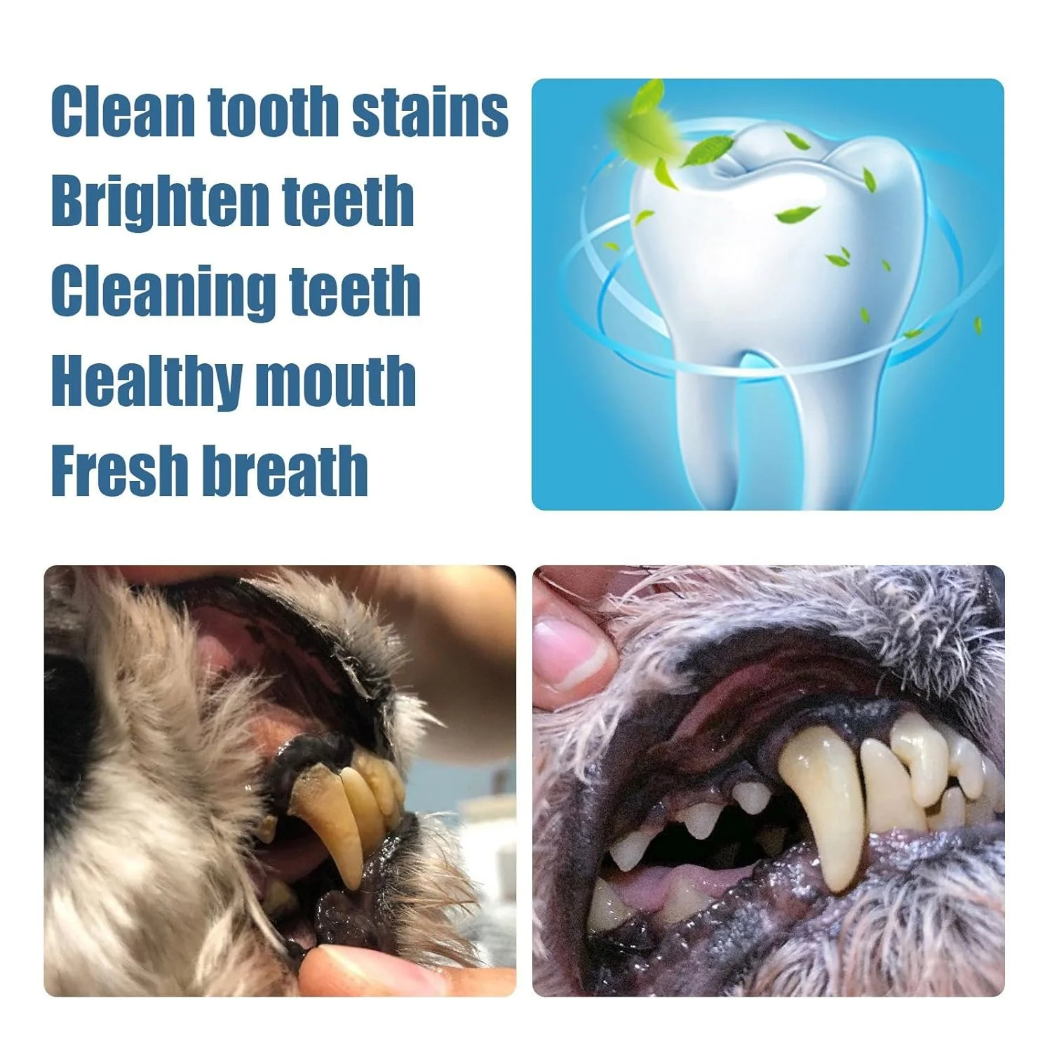 GumBuddy® - Premium Pet Oral Repair Gel - Image 4