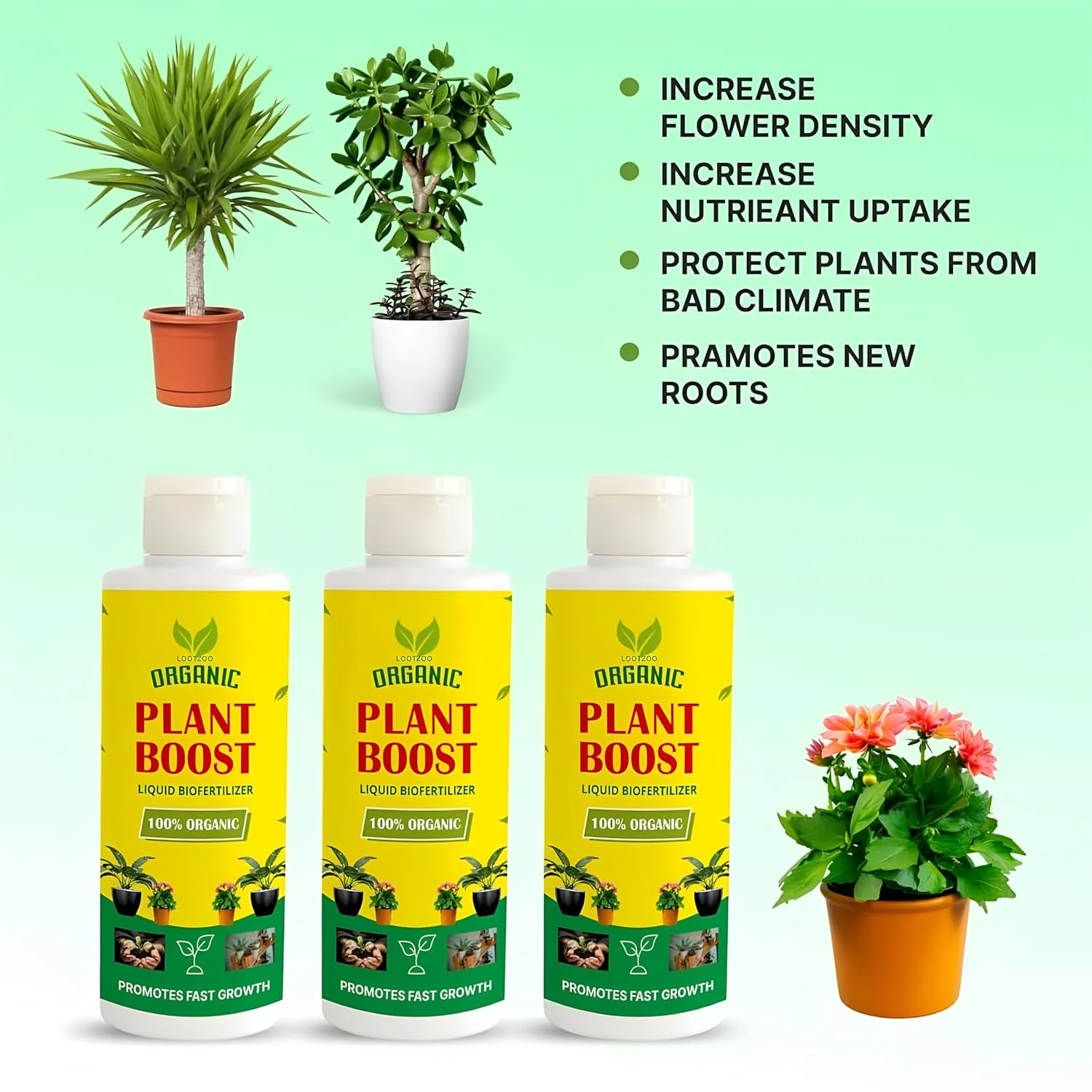 PlantBloom Pro™️ Plant Growth Liquid Fertiliser (Pack of 4) - Image 7