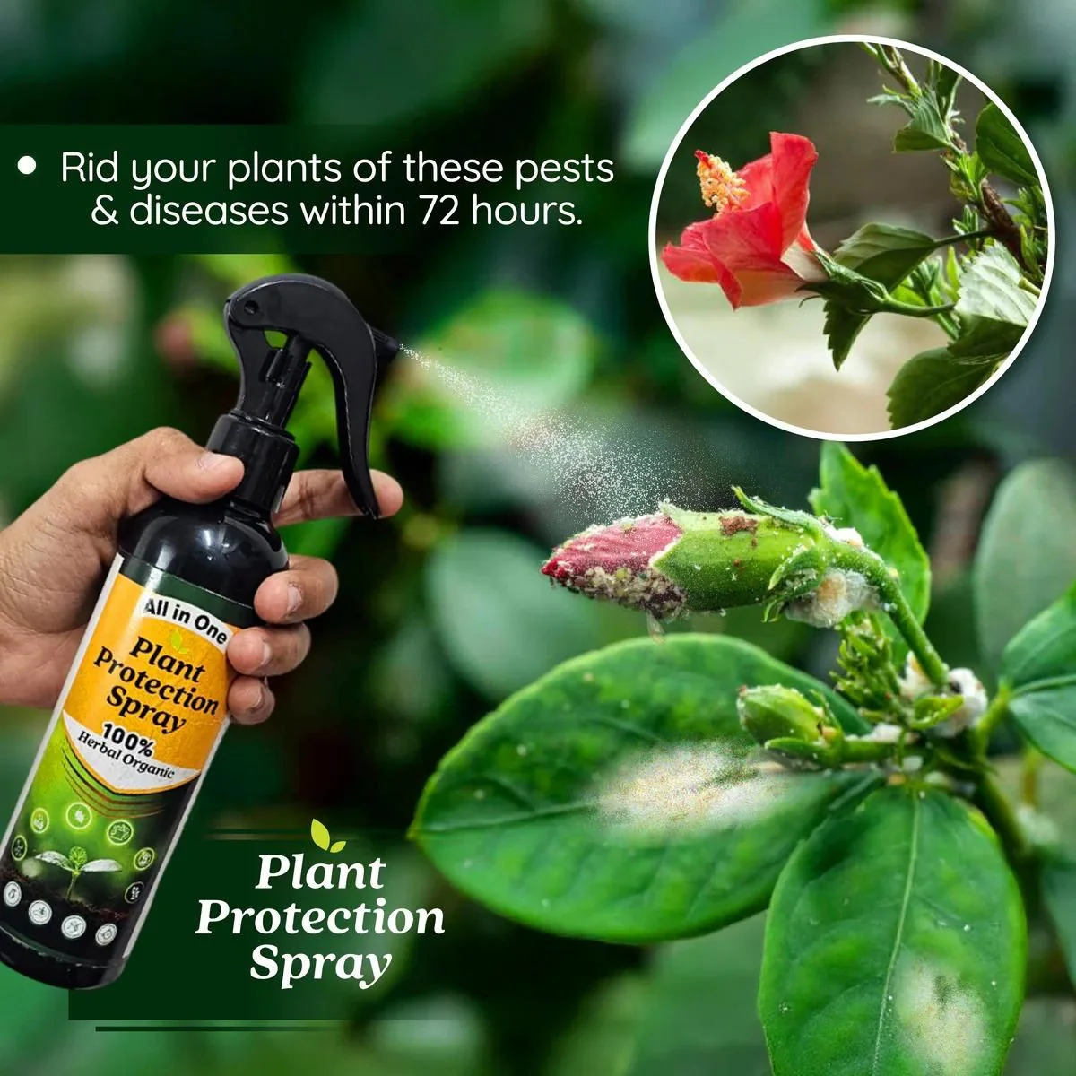 (BUY 1 GET 1 FREE) PlantShield Pro® - All in One Plant Protection Spray 100ml - Image 5