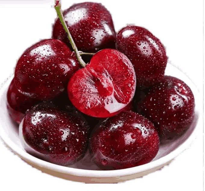 Eden Premium Rainier Cherry Fruit Seeds - Image 2