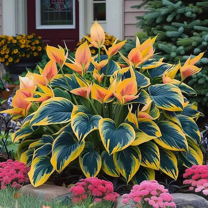 (Buy 1 Get 2 Free + Free Plant Booster) ShadeSilk® - Premium Hosta Flower Seeds - Image 2