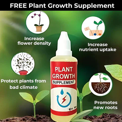 The Queen of Flowers - Peony+ Plant Growth Supplement Free - Image 6